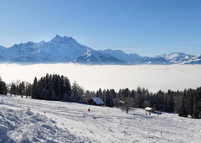 Grand A10 By Interhome Daire