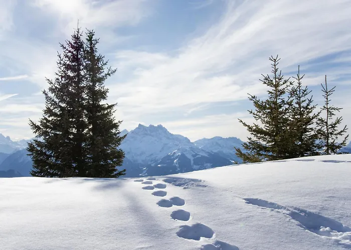 Grand A10 By Interhome